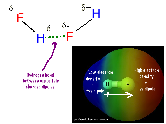 What Are Some Examples Of Hydrogen Bonds? | Socratic